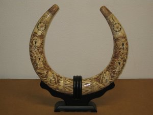 Pareja de colmillos japoneses antigüos de hueso. 48 cms.  179. Antigüedades